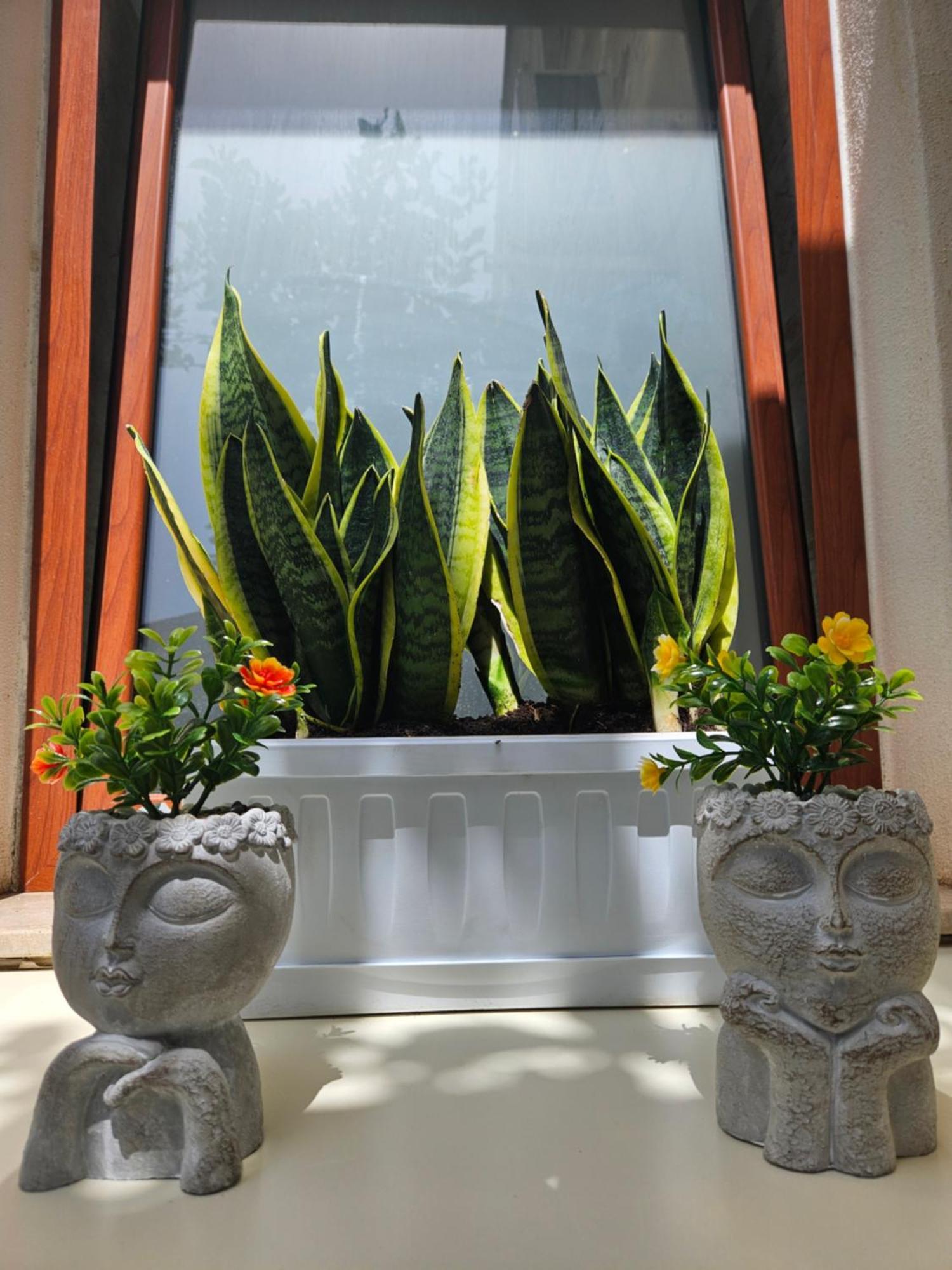מילאצו Guru House B&B Apartments מראה חיצוני תמונה